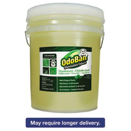 CLEAN CONTROL 5 gal Pail Concentrated Odor Eliminator - Eucalyptus CCC 911062-5G